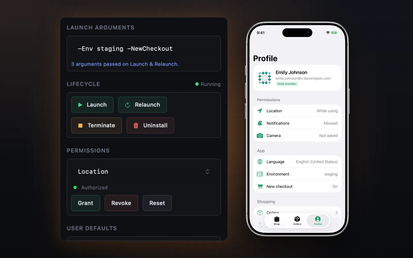 Debug tab with launch arguments and permissions next to the simulator